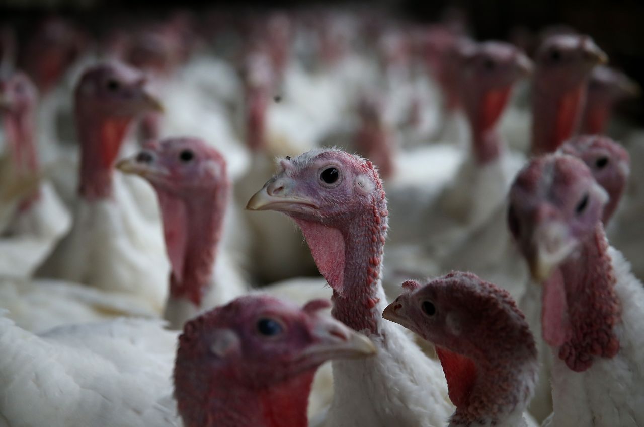 Thanksgiving is full of numbers -- some big, some astonishing. For example, this Thanksgiving Americans will eat an estimated 46 million turkeys. That's a lot of bird.