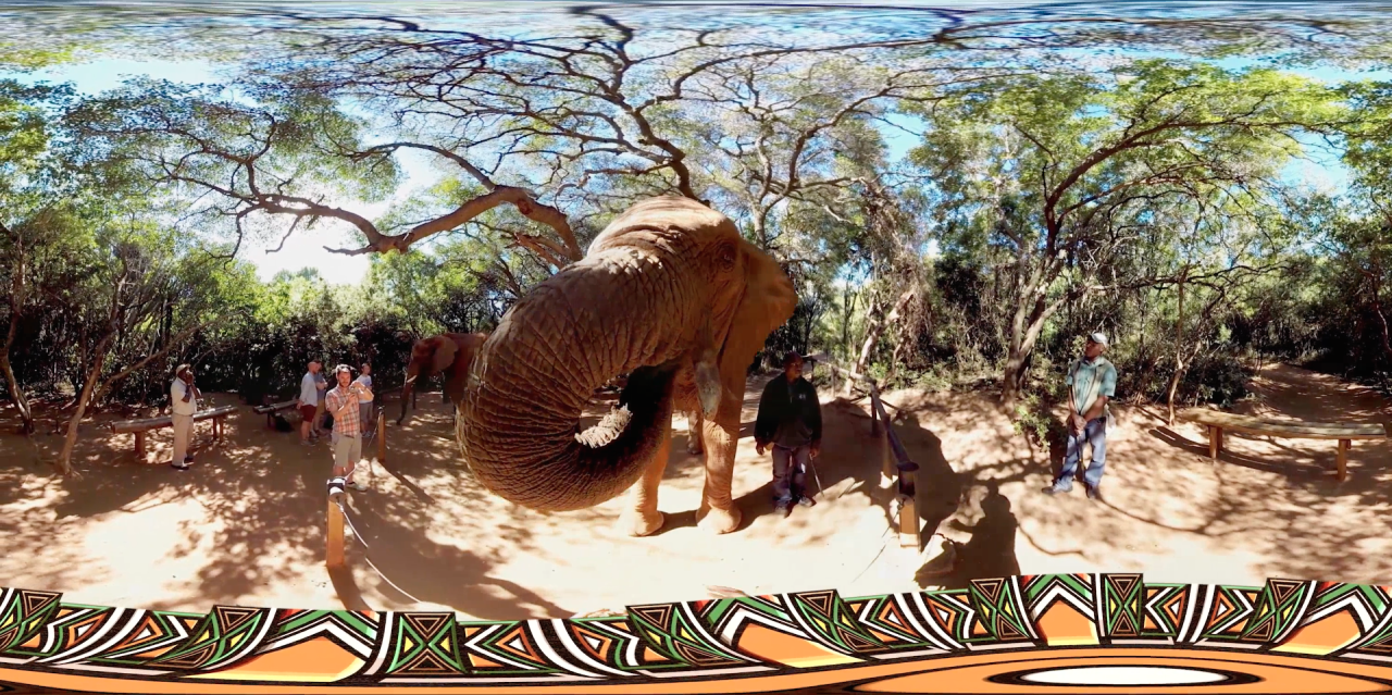 Also from South Africa tour, a chance to meet exotic wildlife without leaving your building.