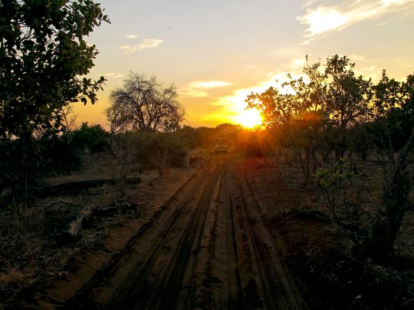 Heading into Chobe National Park at sunrise, a smooth and silent ride on the electric Land Rover.