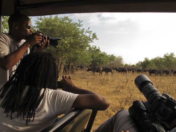 A herd of several hundred Cape buffaloes, one of Africa's "Big 5" animals, are spotted at Botswana's Chobe National Park.