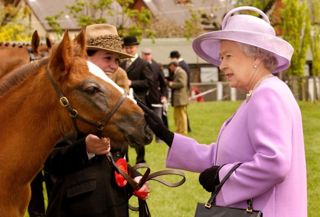 Ed, a two-month old Irish Draught colt foal, attracts the Queen's attention on the final day of her Golden Jubilee visit to Northern Ireland.