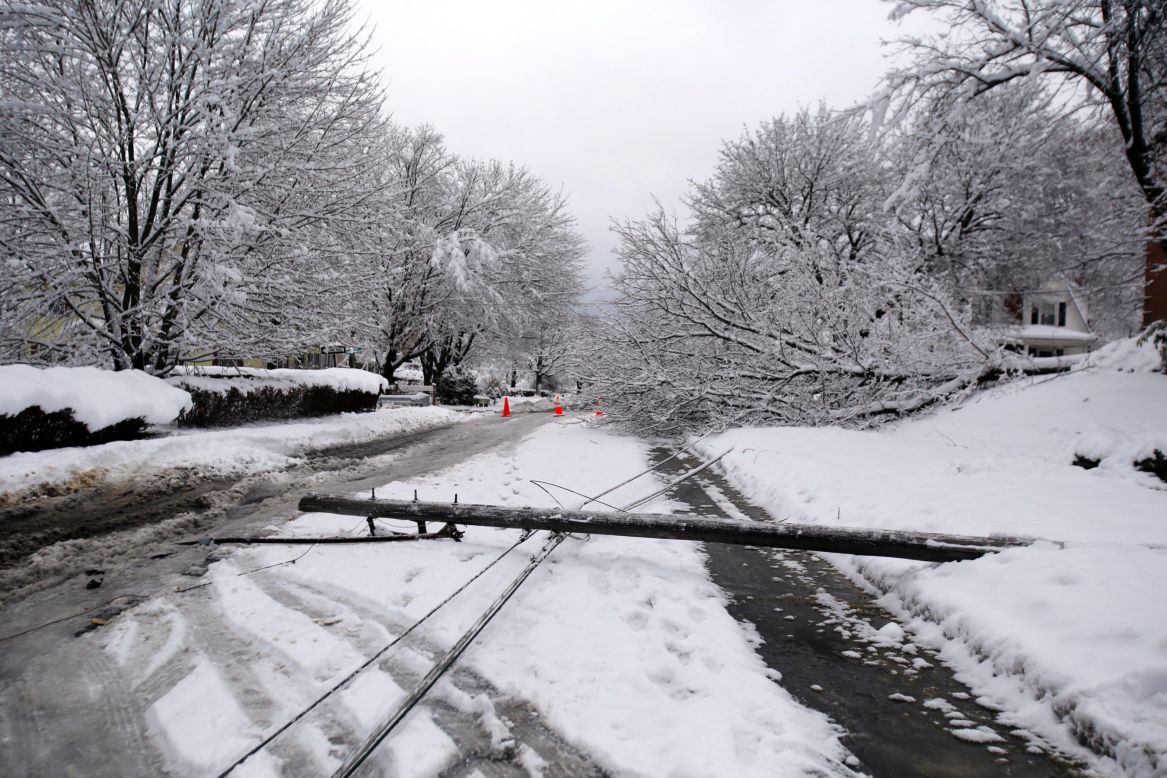 A downed power line and a tree lie in a street in Pittsfield, Massachusetts, on November 27.