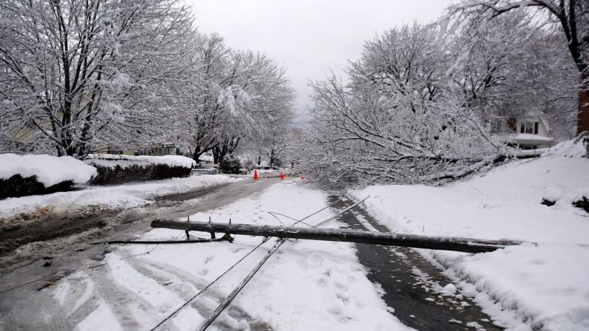 Powerlines and a tress rest in the street in Pittsfield, Massachusetts, on November 27 after a winter storm that struck on Wednesday.