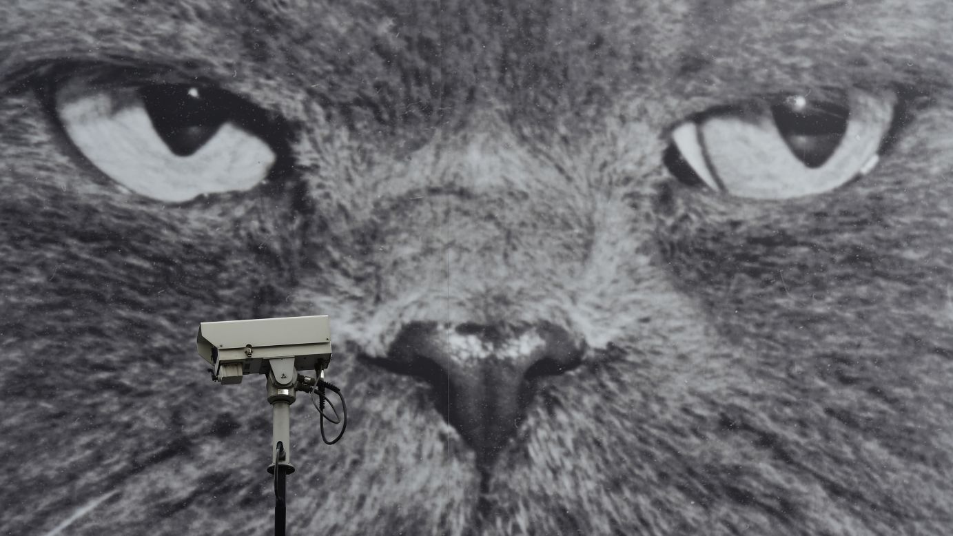 A cat poster is the backdrop for a surveillance camera that is set up near a London Underground station on Monday, November 24.