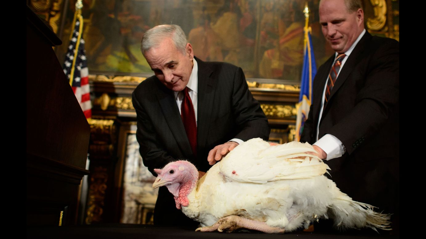 Minnesota Gov. Mark Dayton, center, kicks off Thanksgiving week by ordering a brief stay of execution for a turkey in Minneapolis on Monday, November 24. The turkey is the brother of two turkeys that were sent to the White House <a href="http://www.cnn.com/2014/11/26/politics/obama-puzzled-turkey-pardon/index.html">for a presidential pardon.</a>