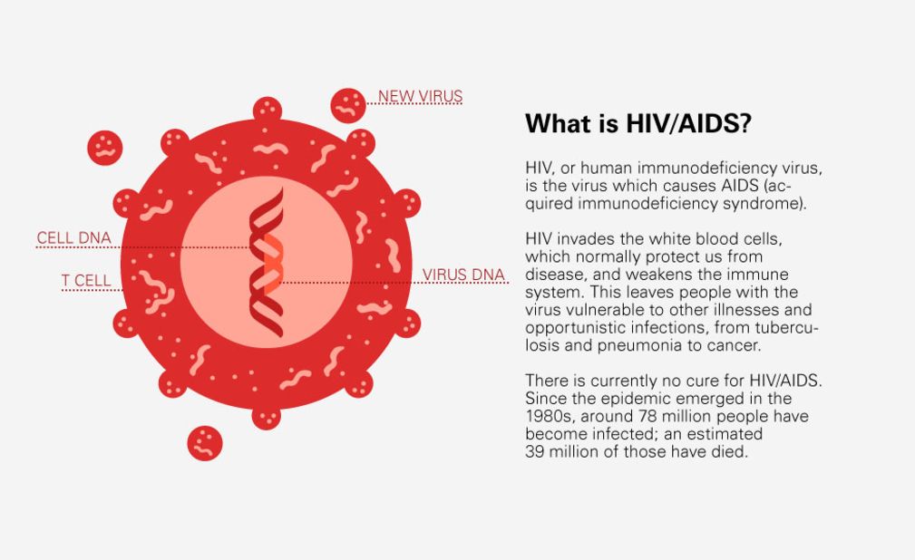 A better understanding of how HIV-1 evades the immune system