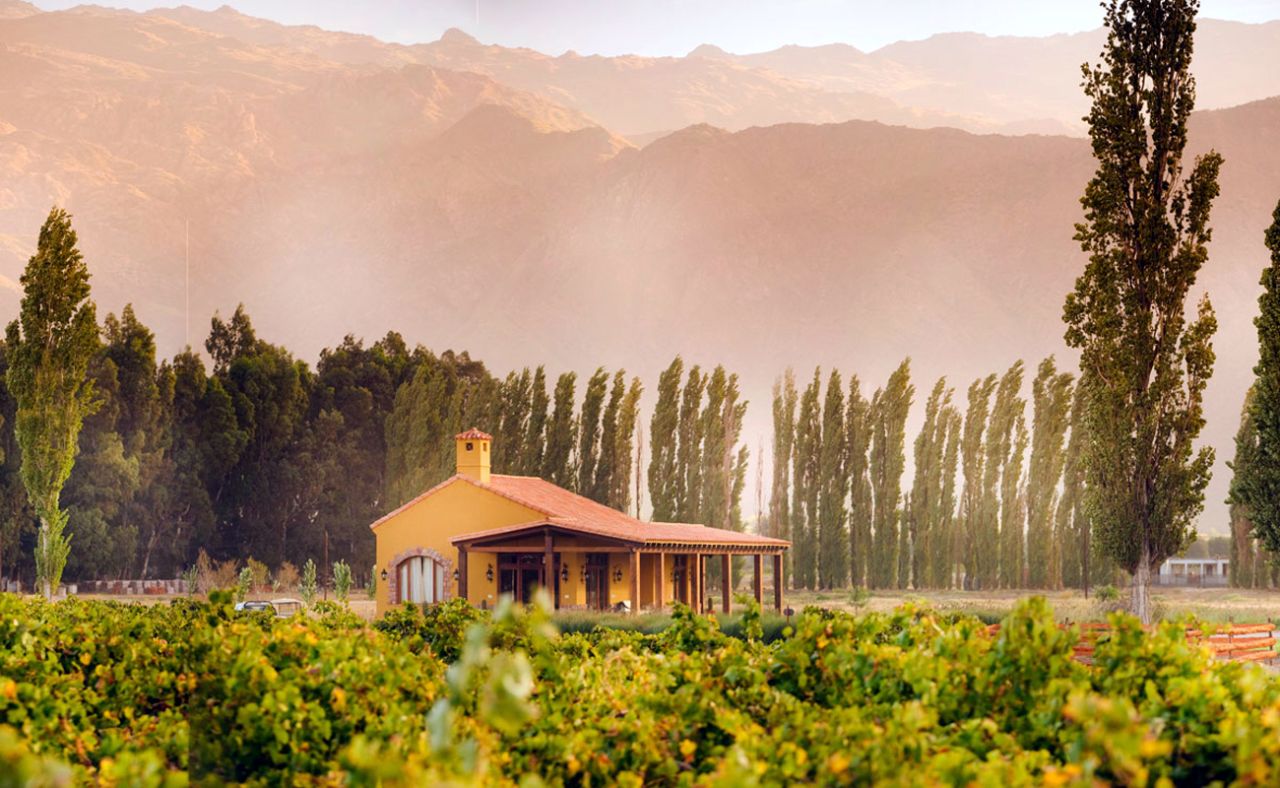 At this Andean wine center you can sit with a glass of wine amid grapes and gaze at a multicolored mountain-scape. Case in point: This view at Vinas de Cafayate Wine Resort.