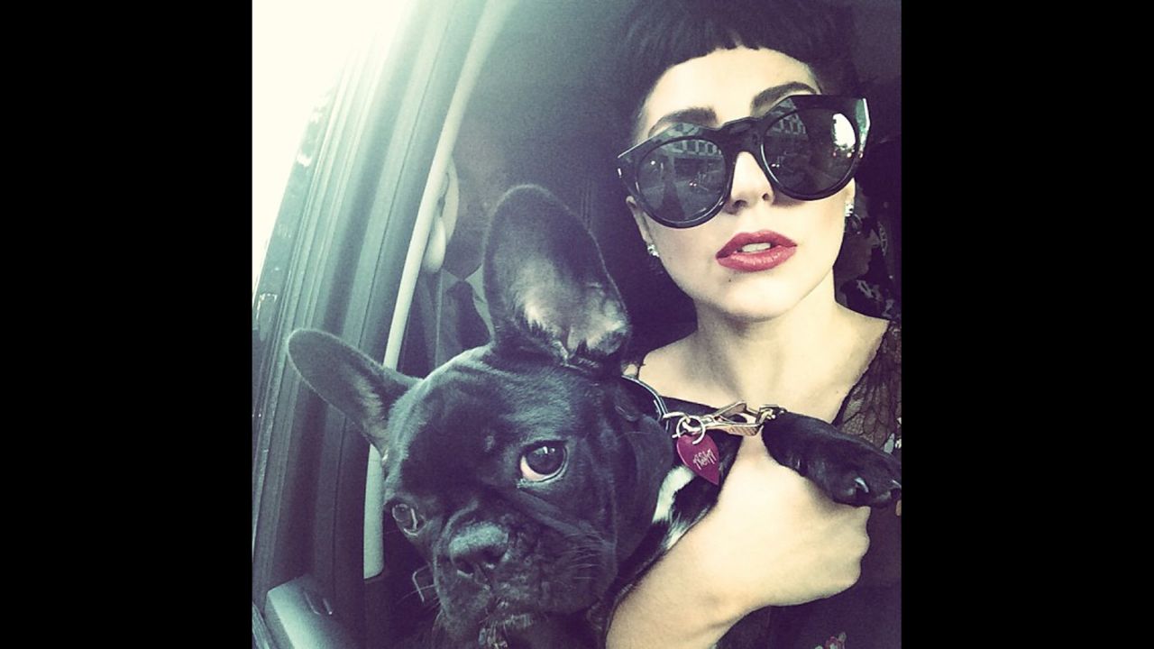 Pop star Lady Gaga and a four-legged friend take a photo together on Wednesday, July 9. "It's time to Party in Toronto," <a href="http://instagram.com/p/qP-0iXpFK9/?modal=true" target="_blank" target="_blank">she wrote on Instagram.</a> "I have had the BEST time here."