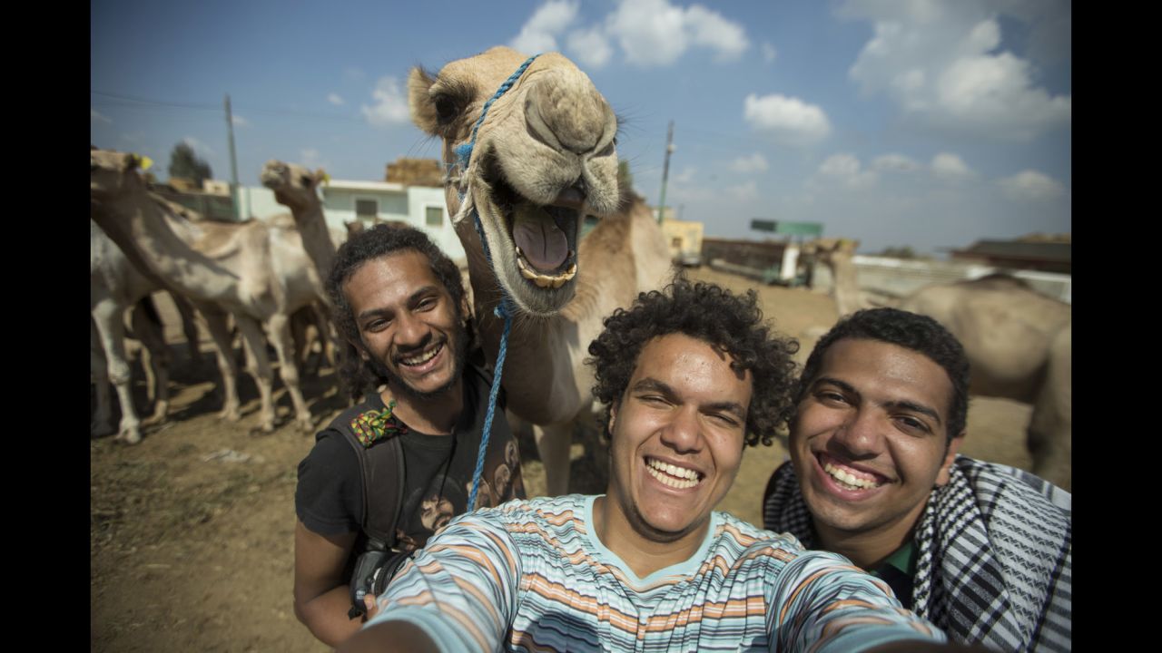 Hossam Antikka and his friends, plus a camel, <a href="https://www.facebook.com/antikkaphotography/photos/a.332499480165108.76782.267039226711134/696733237075062/" target="_blank" target="_blank">smile for a selfie</a> in Giza, Egypt, on Wednesday, October 1.
