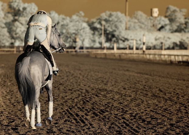 It was the American racehorse of the year in 2014, but what does 2015 hold for <a  target="_blank" target="_blank">California Chrome?</a>