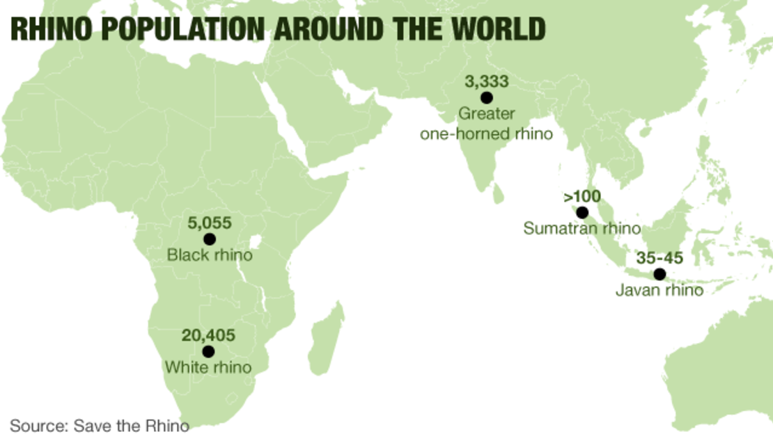 Rhino population around the world