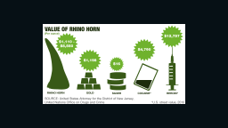 Value of rhino horn