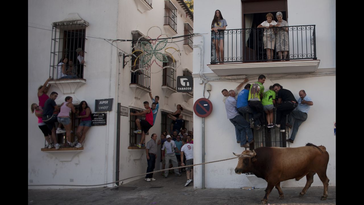 <strong>July 21:</strong> People climb onto window ledges to try to avoid a bull during the Toro de Cuerda festival in Grazalema, Spain. During the festival, a long rope restrains the bull as it runs through the village's streets.