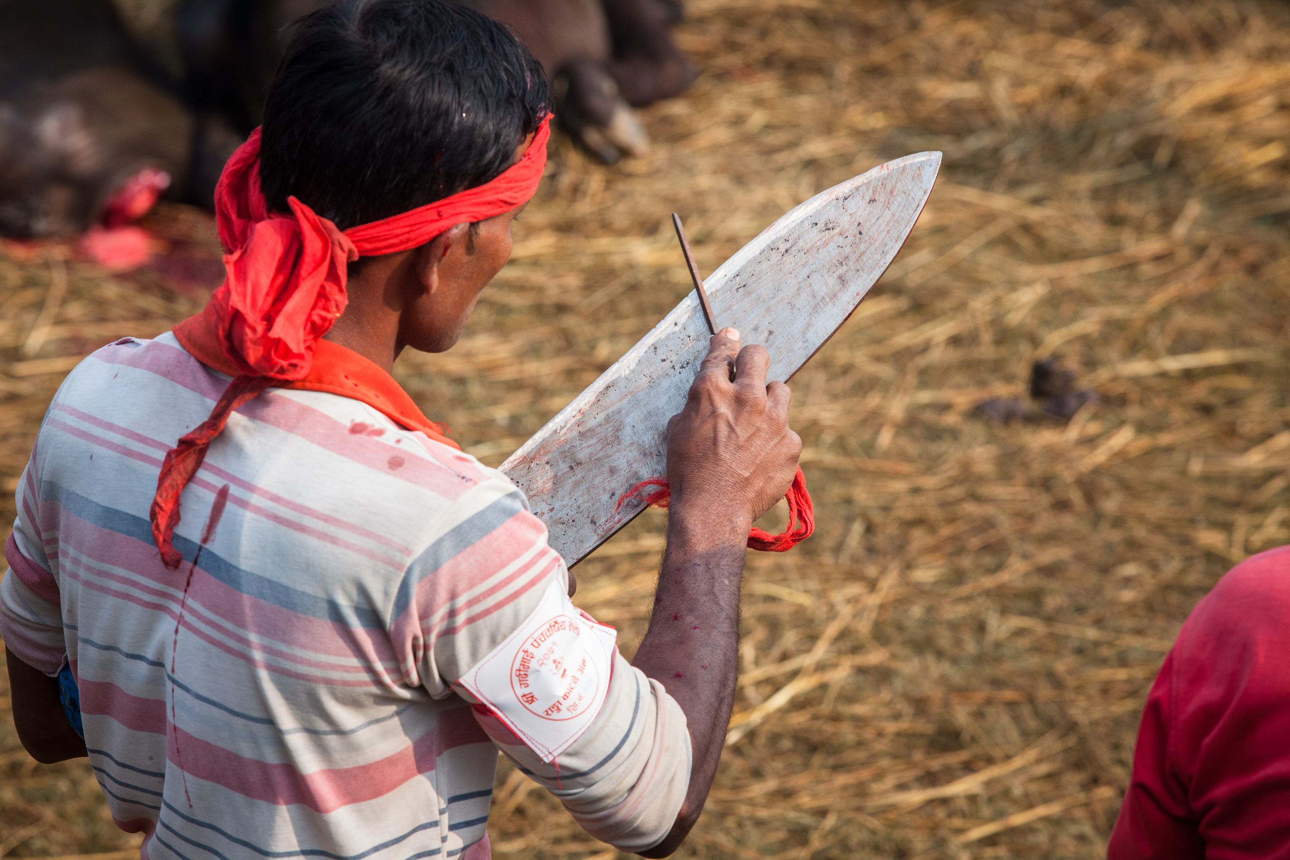 Inside Gadhimai, the world's biggest ritual slaughter | CNN