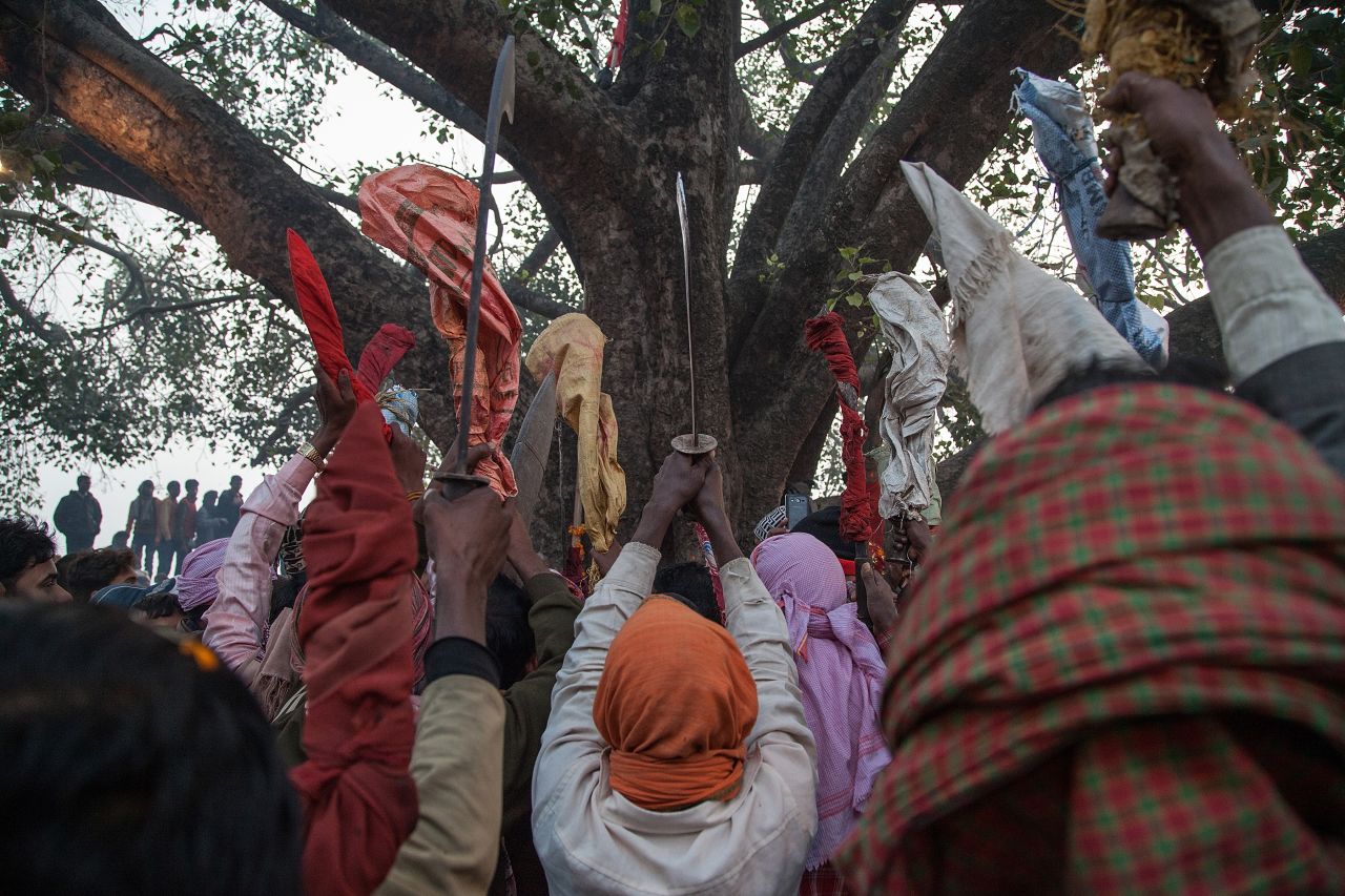 A group of devotees elevate as a blessing their traditional kukri knifes before the beginning of the animal sacrifices during the celebration of the Gadhimai festival on November 28 in Bariyarpur, Nepal.