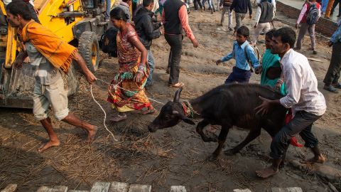 Inside Gadhimai The World S Biggest Ritual Slaughter Cnn