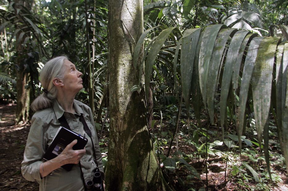 British primatologist Dame Jane Goodall, 81, is best known for her long-term research on wild chimpanzees in Tanzania. She founded, the <a href="http://gombechimpanzees.org/" target="_blank" target="_blank">Jane Goodall Institute Research Center</a> in Gombe National Park, which is the world's longest running continuous wildlife research project. She also started Roots & Shoots, the Institute's global environmental and humanitarian program for young people.