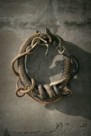 This wreath of snakes highlights the collision of lifelike taxidermy with a level of ironic contrivance that can be found only in death.