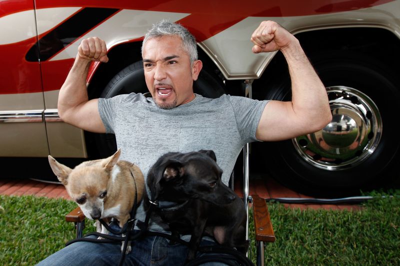 Dog whisperer Cesar Millan will not face animal cruelty charges | CNN