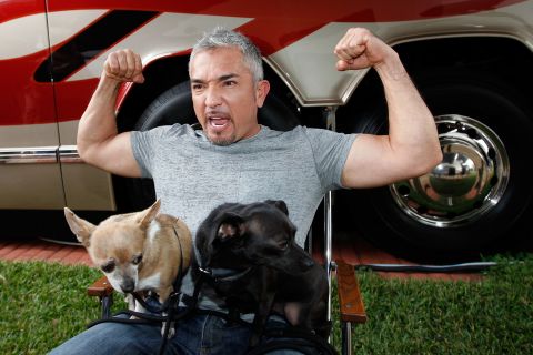 No one's safe when it comes to Internet death hoaxes, and that includes popular dog trainer Cesar Milan. After erroneous reports that Milan had died erupted in early December 2014, <a href="http://instagram.com/p/wJsmhWuXQ3/" target="_blank" target="_blank">he posted a rebuttal on Instagram</a>, assuring his fans that he was "safe, happy and healthy."