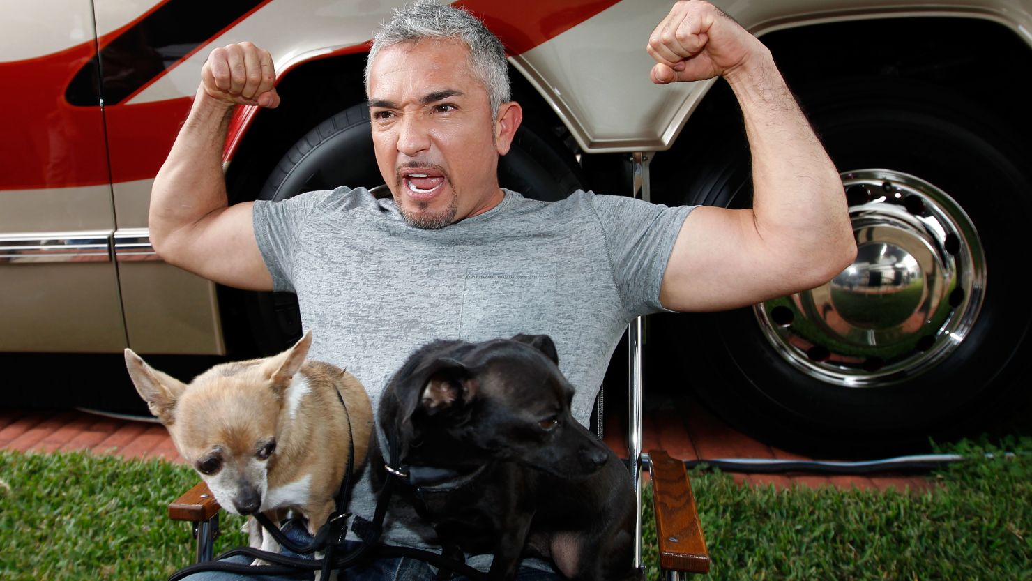 Cesar Millan: "We will continue to rescue and rehabilitate even the most difficult problem dogs."