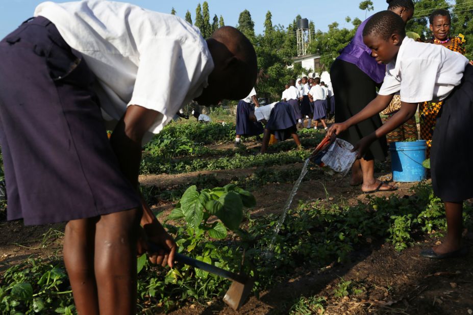 The children of Mbuyoni primary school in Dar es Salaam dig and water the crops in their school garden. Since 2011, the school has grown and cultivated its own vegetables.