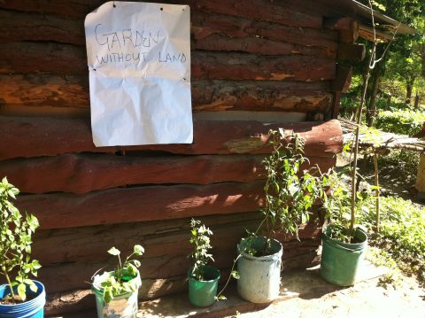 Those without land are encouraged to grow vegetables in their home using pots and cans filled with soil.