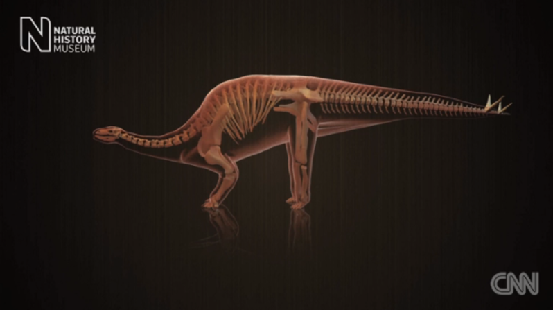 Y aunque las placas de su columna y su cola con púas le dan un aspecto un tanto amenazante, cuando habitó la Tierra, el estegosaurio habría sido una criatura vegetariana y solitaria. 