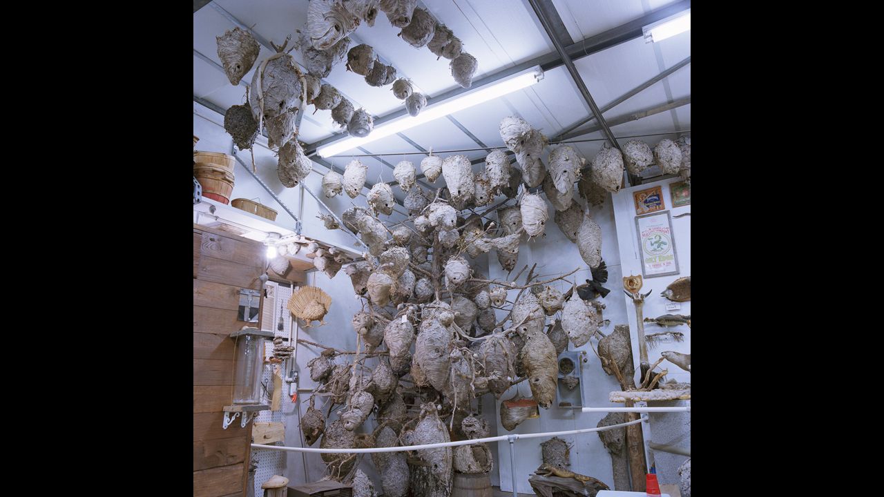 A hornet nest collection resides in the corner of Debo McKinney's ad hoc museum. His private barn has a treasure trove of antiques, collectibles and unusual items.
