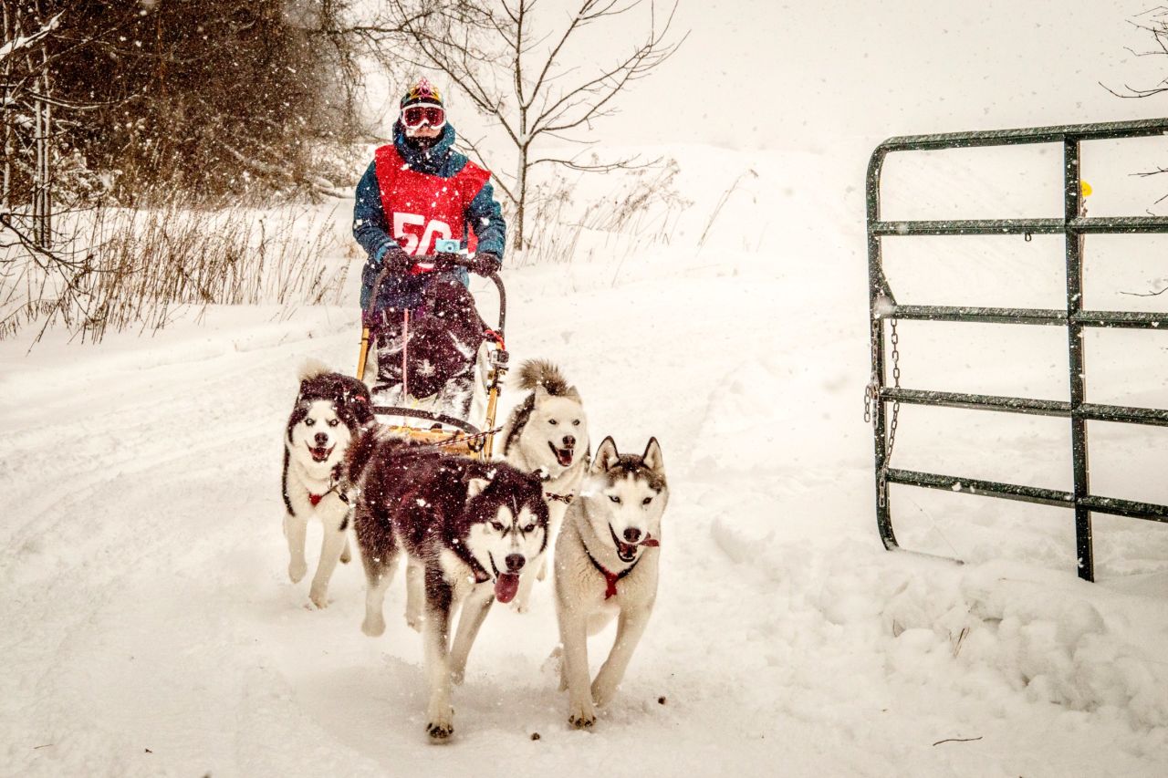 <a href="http://www.canningtondogsledraces.com/" target="_blank" target="_blank">The Cannington Dog Sled Races</a> in Cannington, Ontario, are open to everyone, including professional racers, kids and teams with mixed-breed dogs.