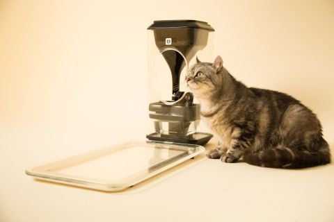 The bistro feeder gives cats nutrition according to their precise needs.