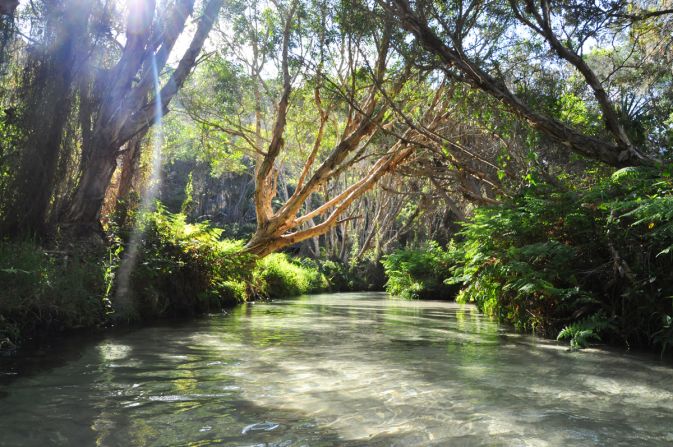 The largest creek on the eastern side of the island, Eli Creek pours up to four million liters of freshwater into the ocean every hour. It's a popular picnic spot. Visitors can walk along the clear stream.