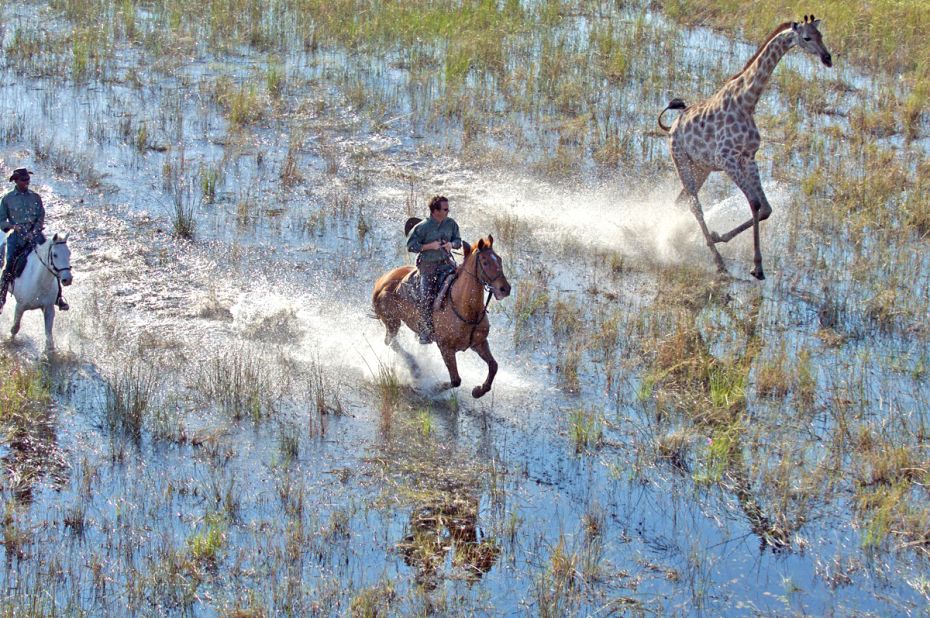 How else can you keep up with giraffes and zebras through the Okavango? Award-winning African Horseback Safaris zigzag across Botswana's delta, inaccessible to vehicles.