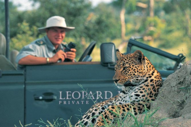 Rangers at Leopard Hills are established photographers who can offer advice taking stunning shots through Sabi Sand Game Reserve.