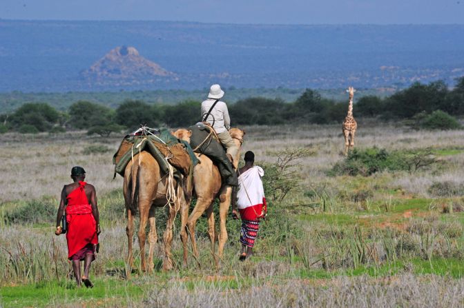Guided by Masai and Samburu trackers, Karisia Walking Safaris' team of camels carry guests through Kenya's Laikipa country to find giraffes, zebras and more.