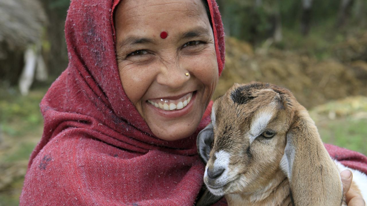 Heifer International and World Vision allow people to buy goats and other farm animals for families in need. Their catalogs also sell goods you can give to your loved ones, with the profits going to the nonprofits' work. 