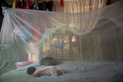 People living in affected regions are advised to sleep under bed nets to avoid being bitten by infected mosqutoes.