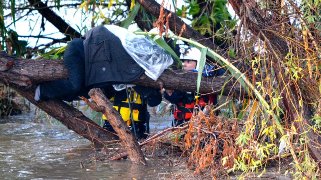 A homeless woman wrapped in protective plastic is trapped on a tree branch in the flooded Los Angeles River. She was later rescued.