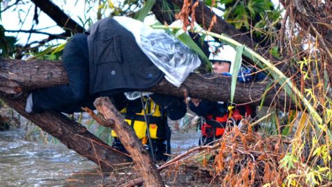 A homeless woman wrapped in protective plastic is trapped on a tree branch in the flooded Los Angeles River. She was later rescued.