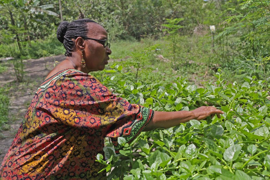 Freda Chale picks fresh greens at the RESEWO headquarters in Dar es Salaam. She has led the organisation since its formation in 2007.