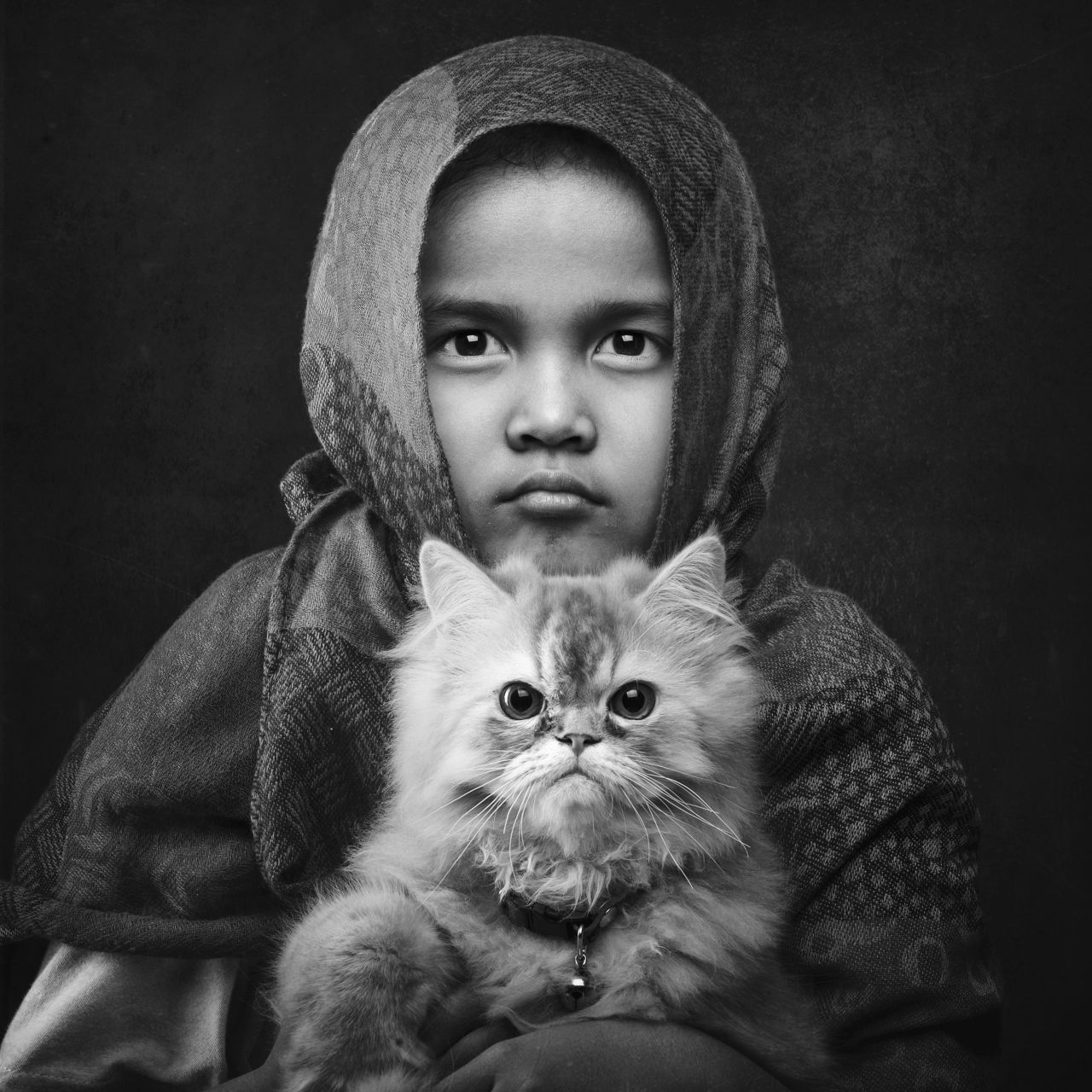 <strong>"Timeless Affection," by Arief Siswandhono</strong><br /><br />Arief Siswandhono, from Indonesia, used Fina, the youngest of his two daughters, as his subject.<br />"Fina used to be scared of cats, which was the reason why we decided to adopt two kittens," Siswandhono says.<br /> <br />"We wanted Fina to learn how to live with cats, how to hold them, how to care for them and how to treat them as family members to help her overcome her fear. Now we can proudly say she did! <br /><br />"Day by day, seven months passed by and today Fiona and the cats are best friends, and love and care for each other. In this picture I wanted to show how gracefully they are together."