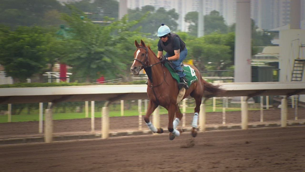 spc winning post red cadeaux_00004425.jpg