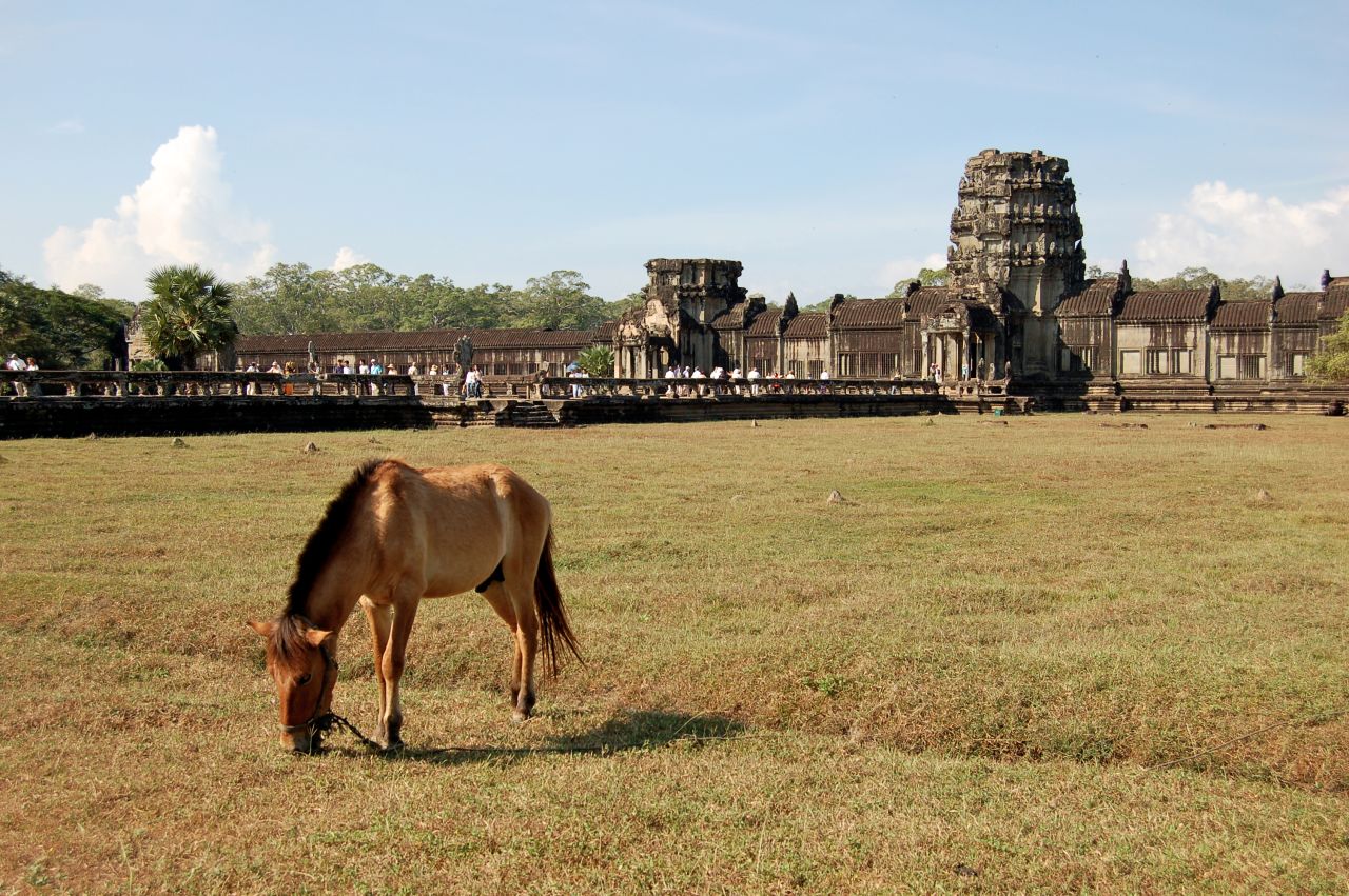 A horse grazes in front of the ancient Khmer landmark of <a href="http://ireport.cnn.com/docs/DOC-1032856">Angkor Wat</a> in Siem Reap, Cambodia.
