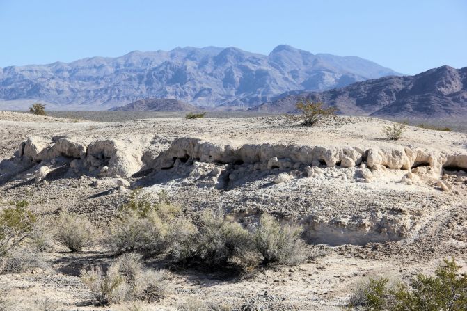 See where Ice Age saber tooth cats, bisons and other incredible animals once roamed Nevada at the proposed <a href="http://www.tulespringslv.com/" target="_blank" target="_blank">Tule Springs</a> Fossil Beds National Monument. 