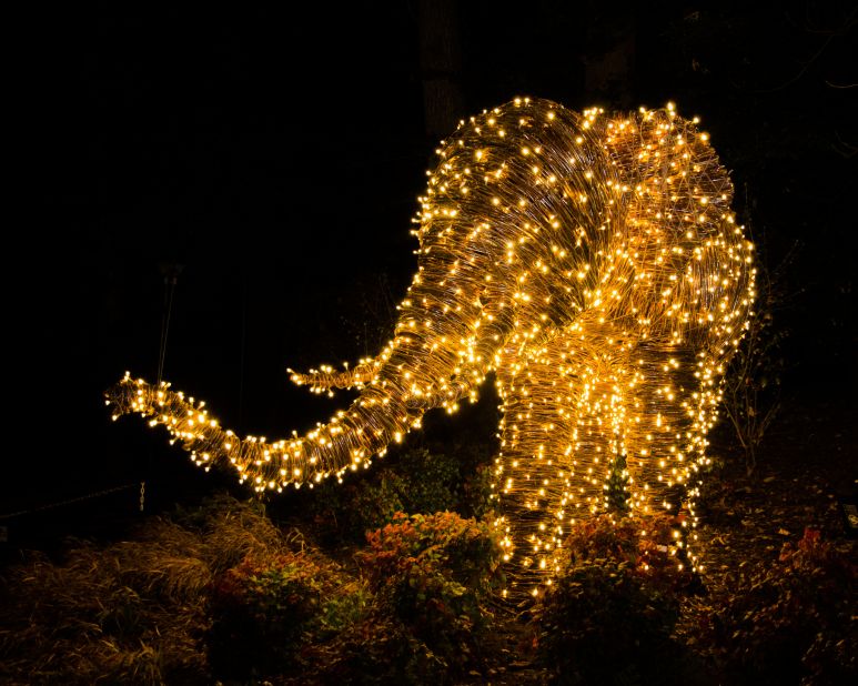 In Washington, D.C., Zoolights turns Smithsonian's National Zoo into a 500,000-LED-light winter wonderland. 