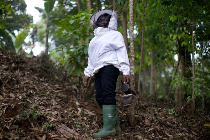 Before taking up beekeeping, many women in the area struggled to make ends meet while also maintaining all the regular homemaker jobs -- a fact that spurred Fumsi to push for local women to be trained in the craft. She explains: "Actually most of the chores in the house are left to the women. And she has to get washing soap for the family, she's got to get ingredients for the family, even the school fees of the children -- she's got to pay for fees, uniform and shoes. And at times hospital bills, if its not an emergency -- she takes care of that." 