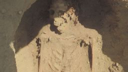 pkg daftari million mummies found egypt_00004921.jpg