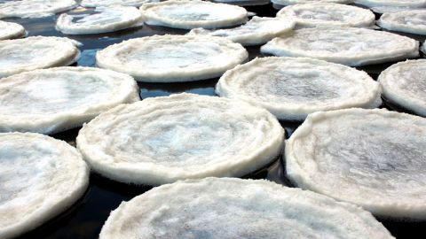 Mysterious ice pancakes seen on the River Dee in Scotland in 2014.