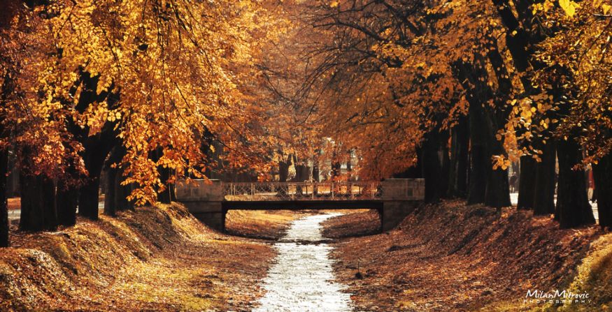 Vrnjacka Banja: Professional photographer Milan Mitrovic took this breathtaking picture of his home town, <a href="http://ireport.cnn.com/docs/DOC-1191702">Vrnjacka Banja</a>, a spa town famous for the therapeutic effect of its mineral waters. 