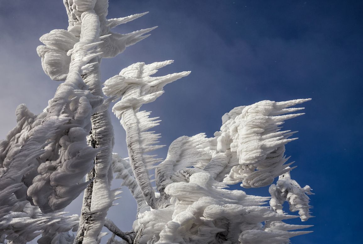 The strong winds resulted in these horizontal spikes of ice. 